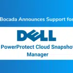 Dell PowerProtect Cloud Snapshot Manager